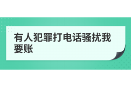 定州为什么选择专业追讨公司来处理您的债务纠纷？